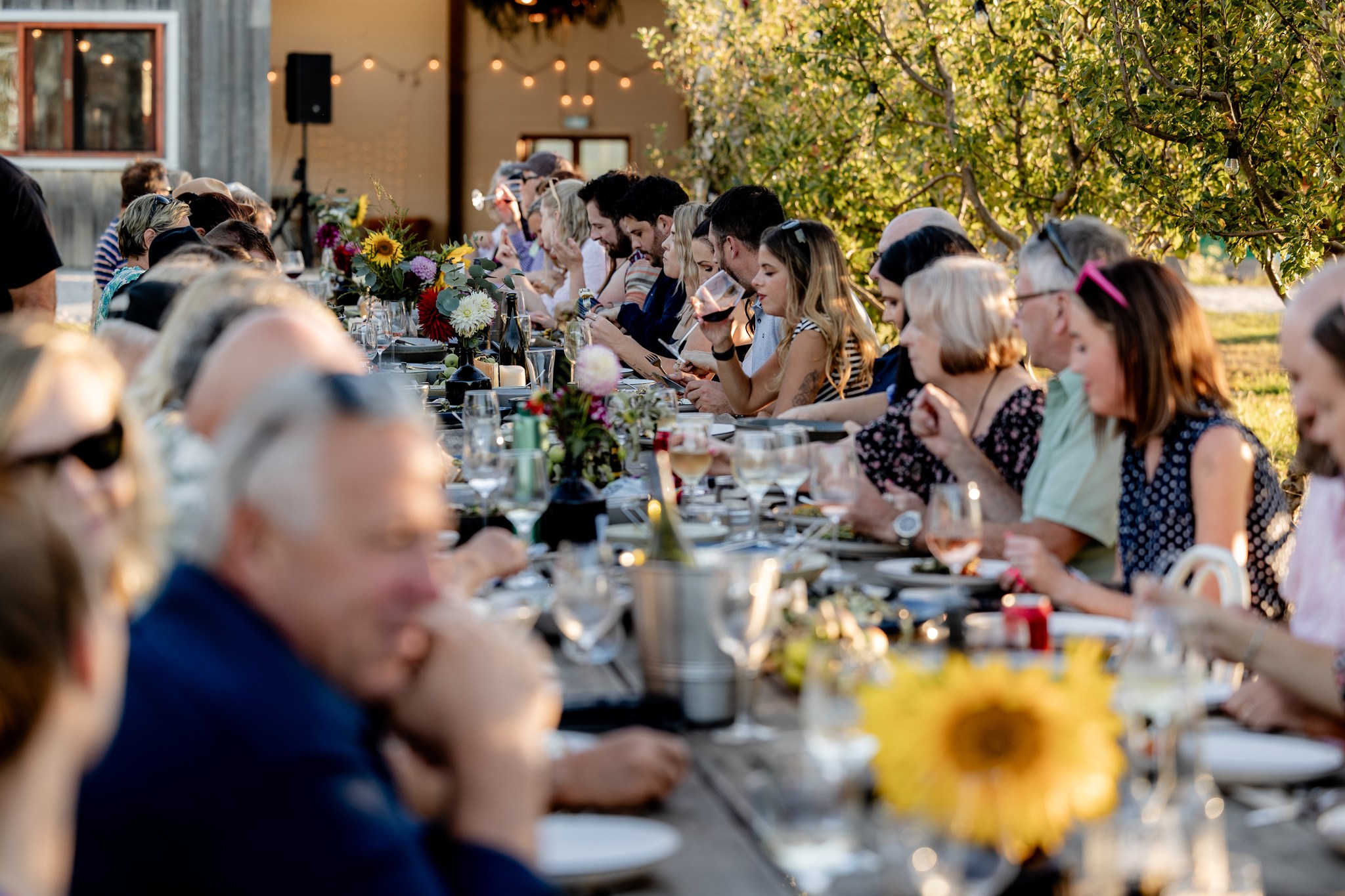 guests dining long table